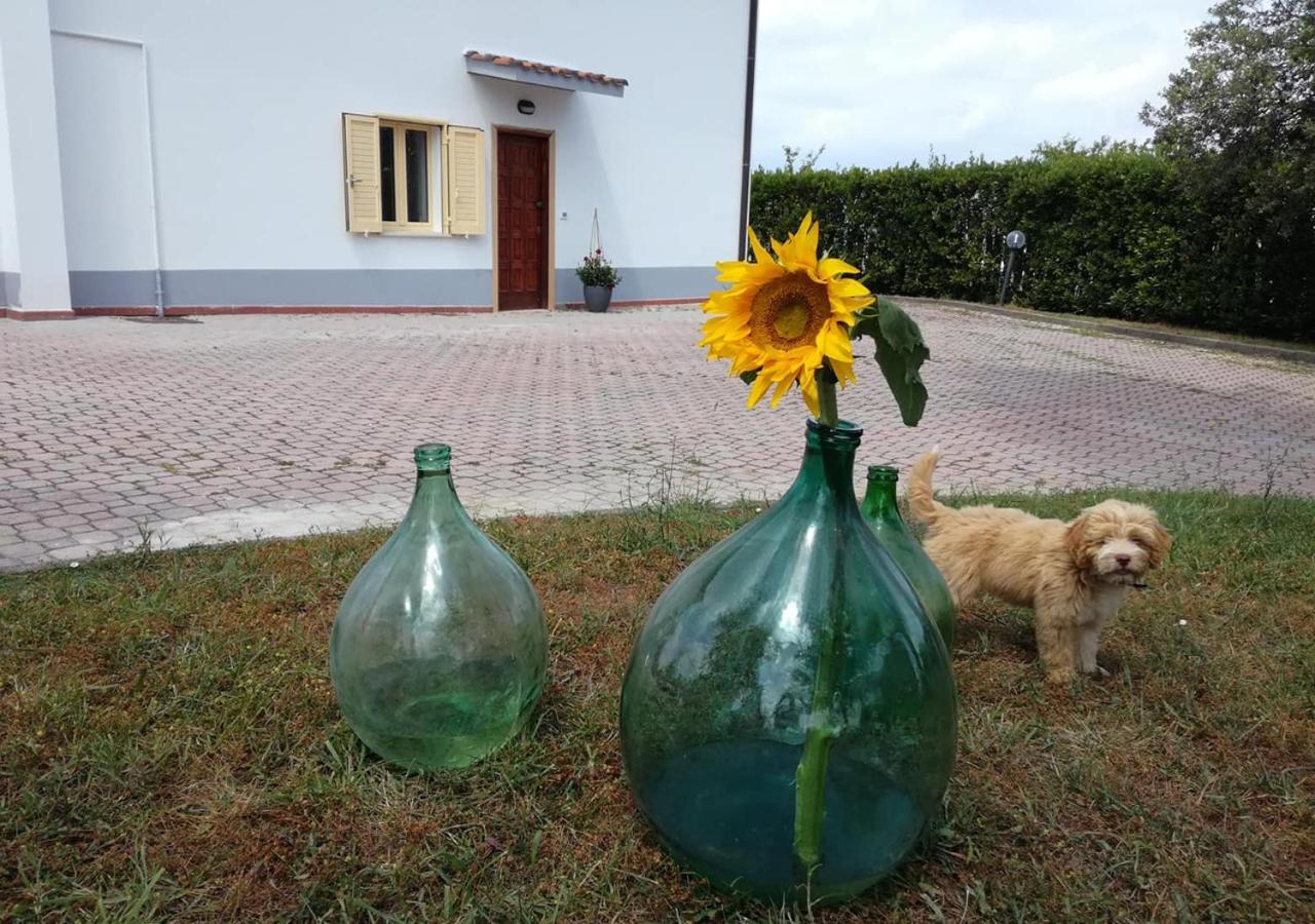 טראמו Casa Amrita, Yoga B&B מראה חיצוני תמונה