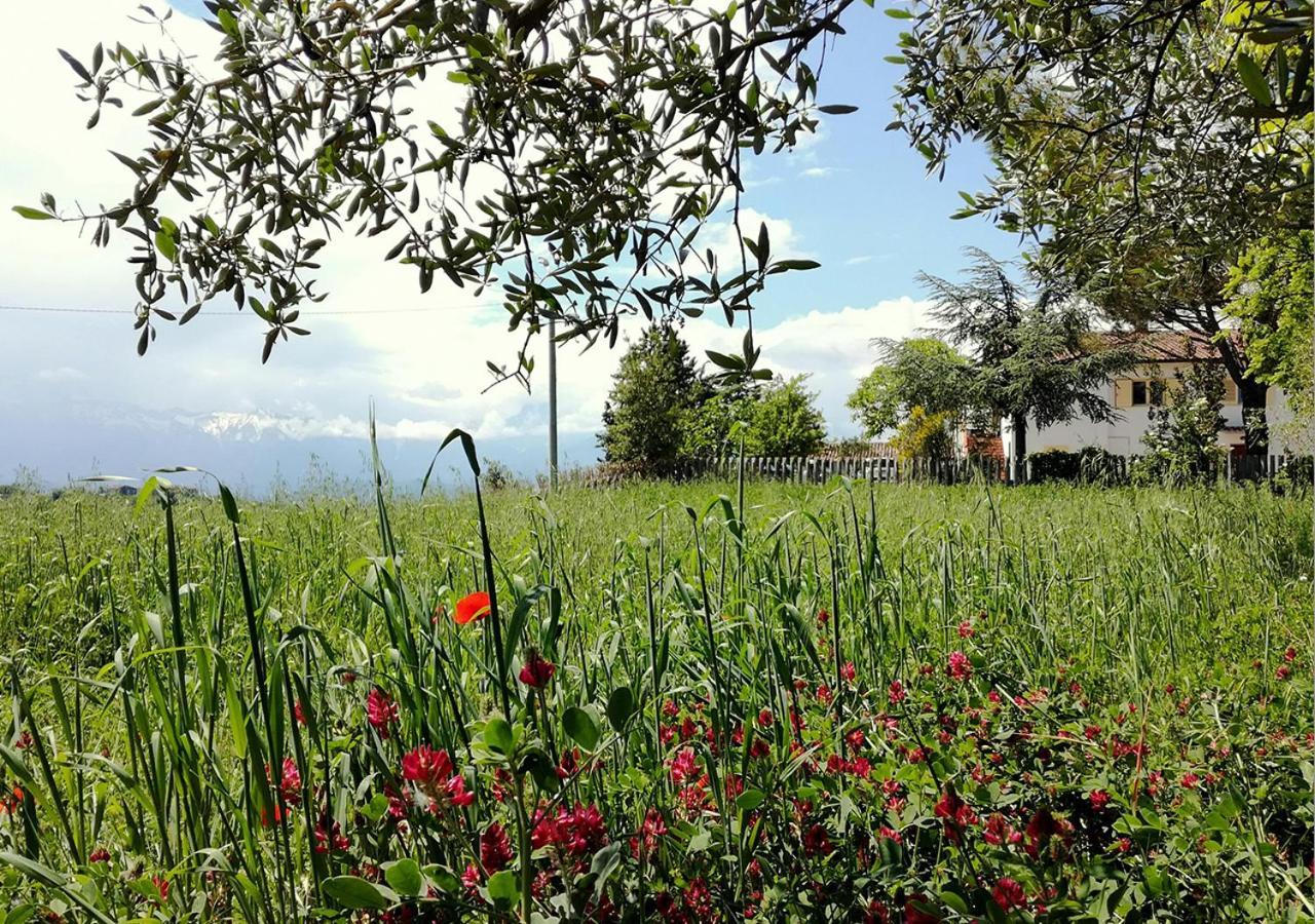 טראמו Casa Amrita, Yoga B&B מראה חיצוני תמונה